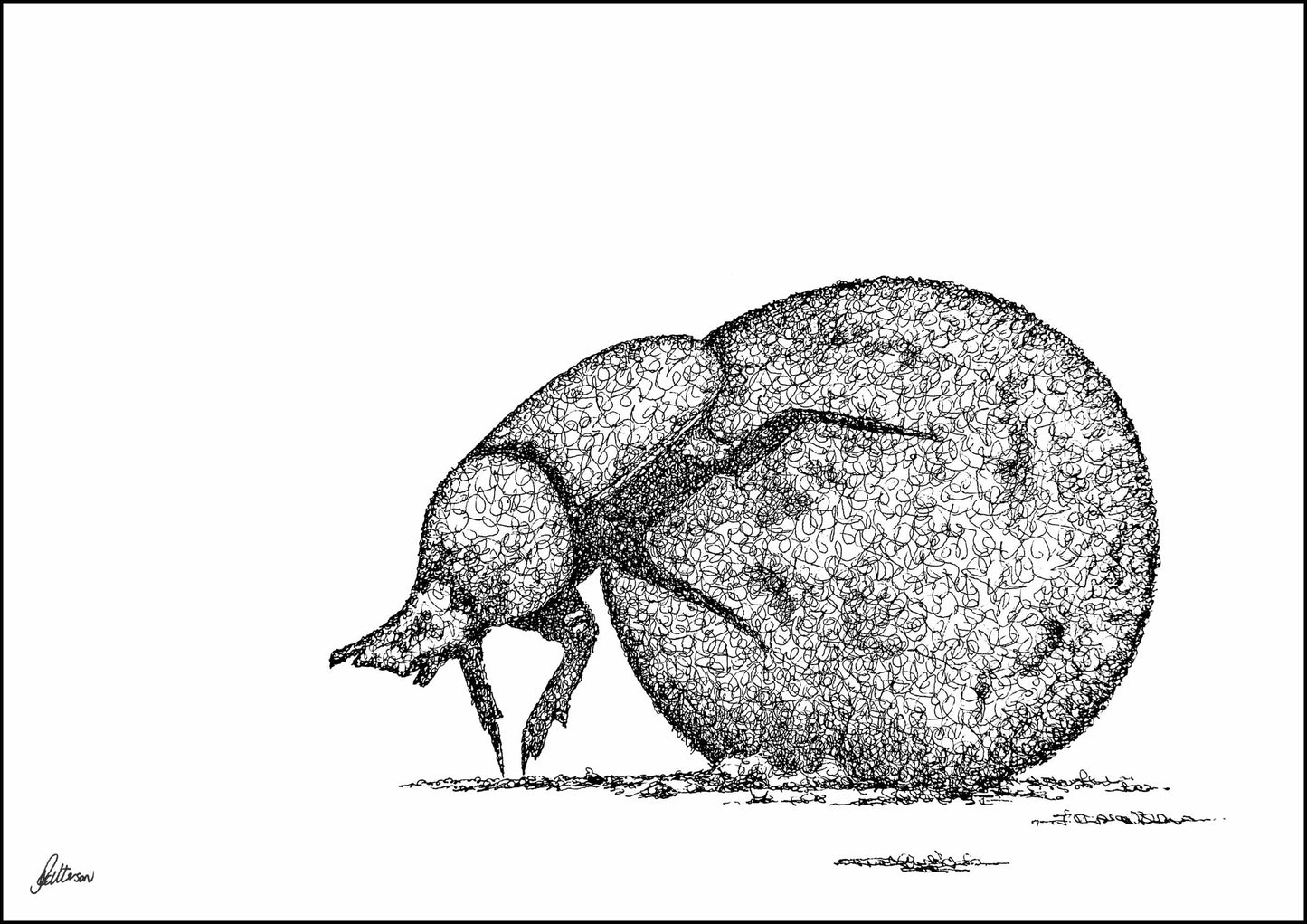 Dung Beetle Limited Edition Print