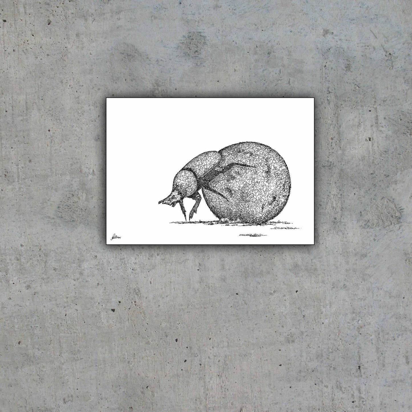 Dung Beetle Limited Edition Print