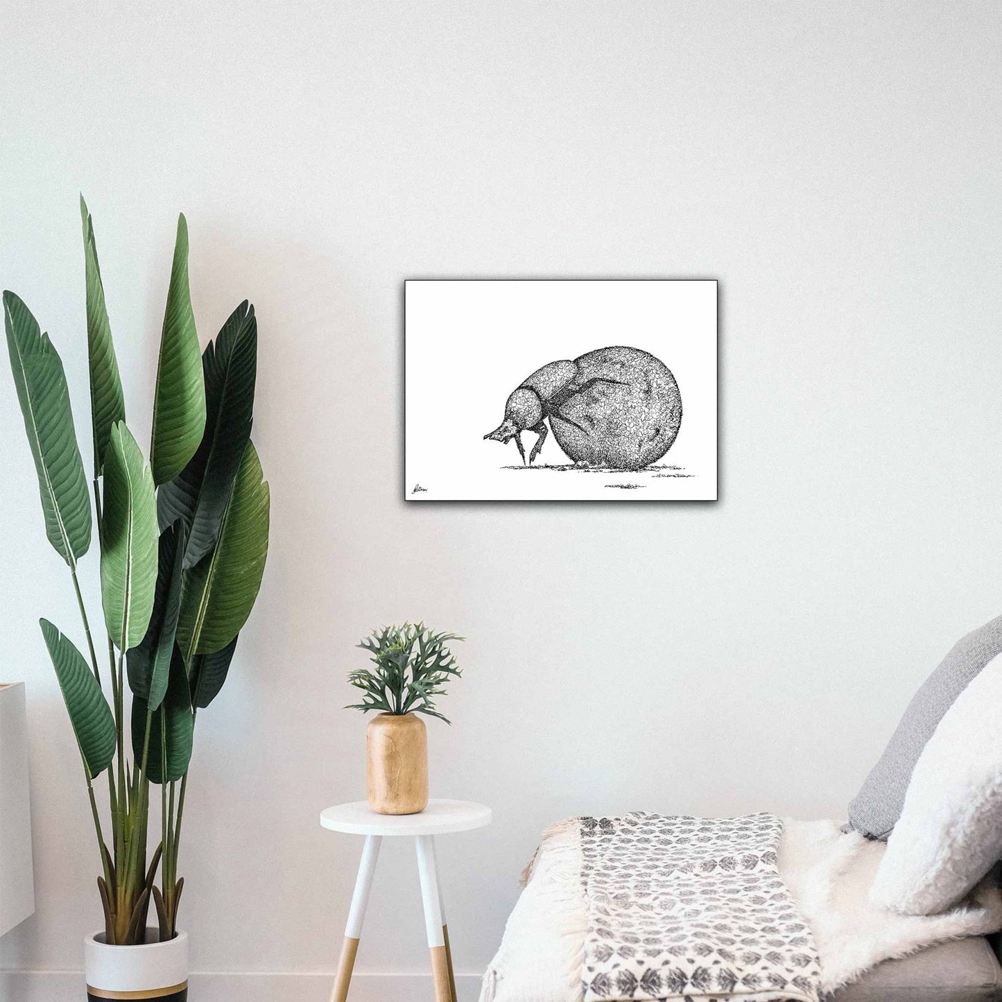 Dung Beetle Limited Edition Print