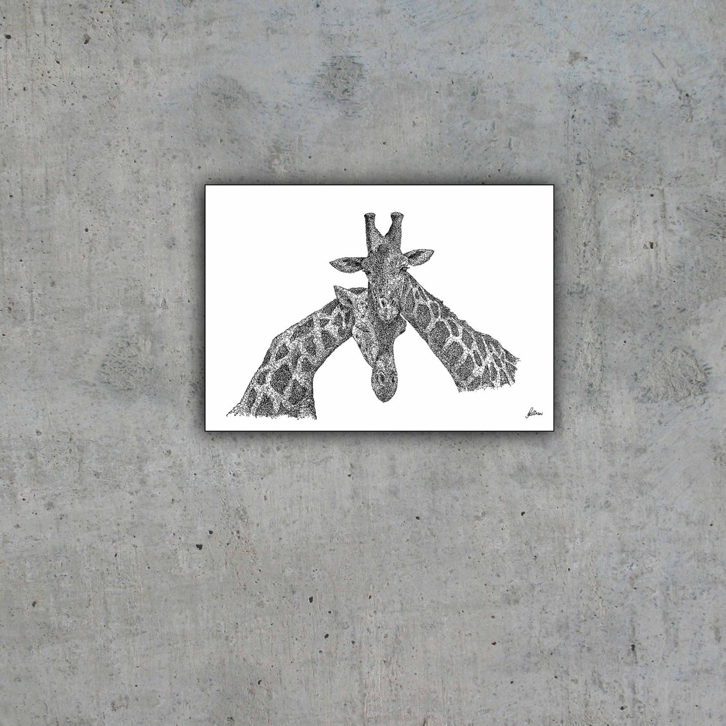 Giraffes Necking Limited Edition Print