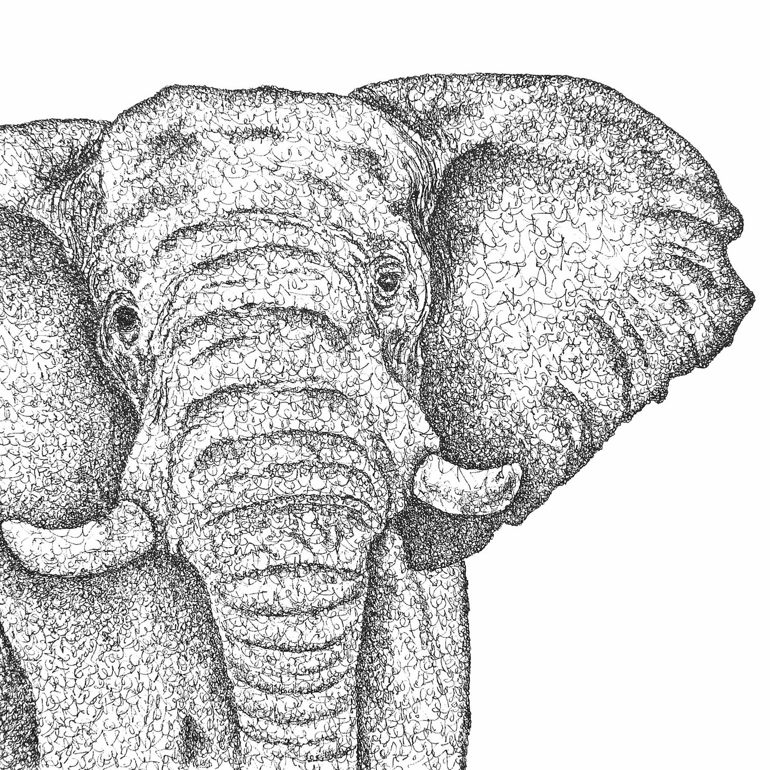 BALL POINT PEN DRAWINGS