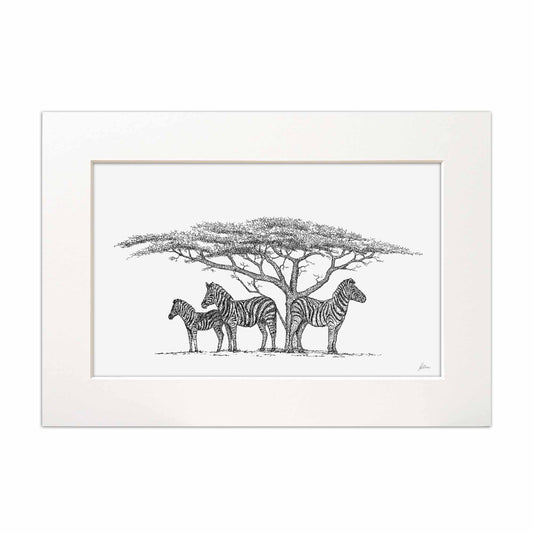 Zebra Family under The Acacia Tree Signed Print