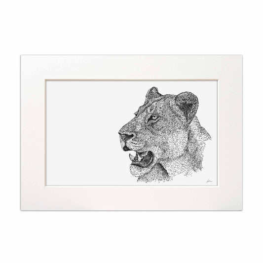 Lioness Kruger National Park