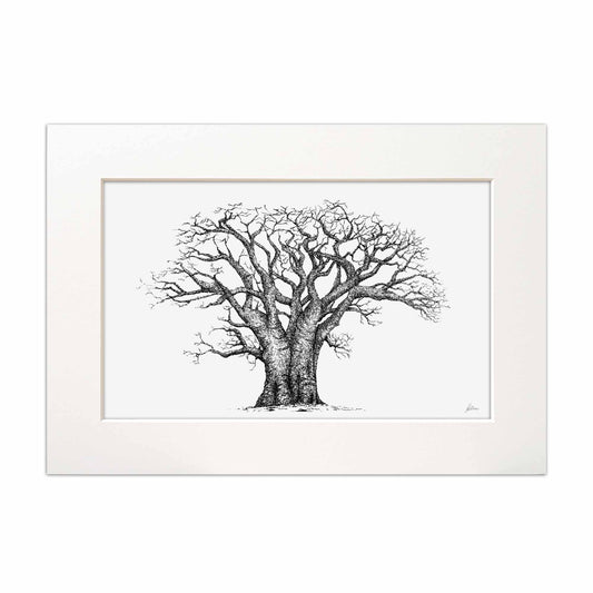 Baobab Tree Signed Print