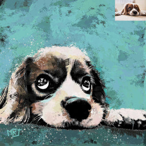 Pet Portrait