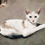 Pet Portrait