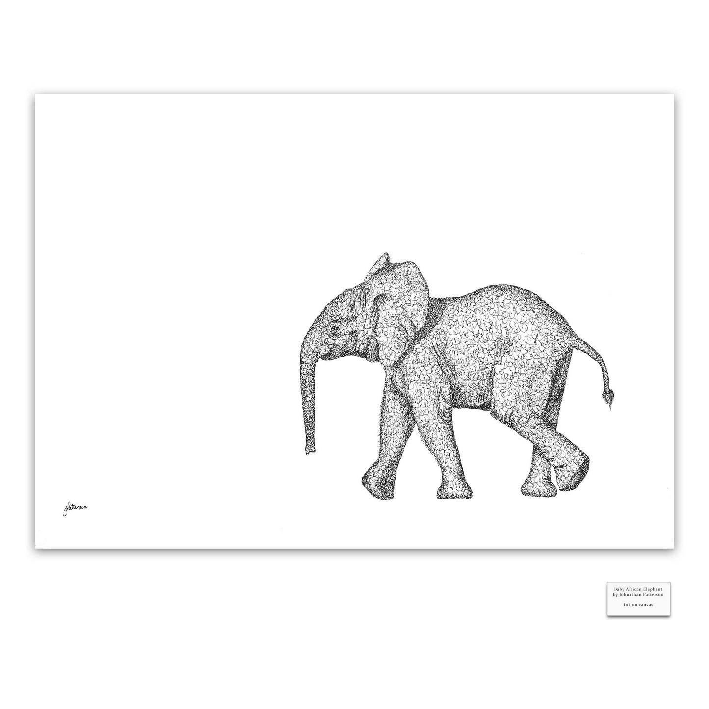 Original Artwork - J Patterson - Baby Elephant