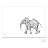 Original Artwork - J Patterson - Baby Elephant