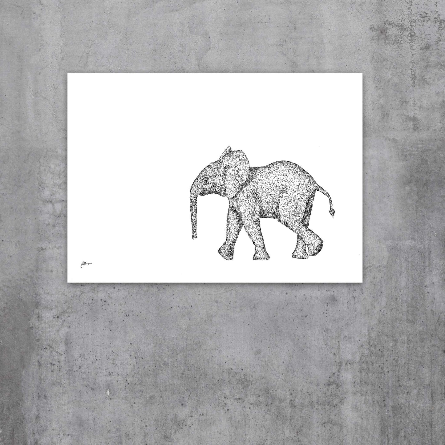 Original Artwork - J Patterson - Baby Elephant