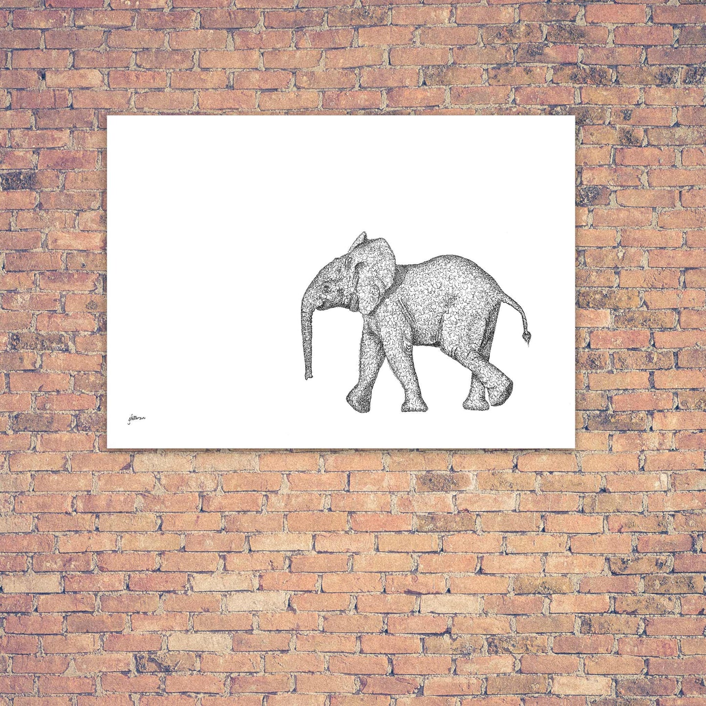 Original Artwork - J Patterson - Baby Elephant