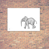 Original Artwork - J Patterson - Baby Elephant