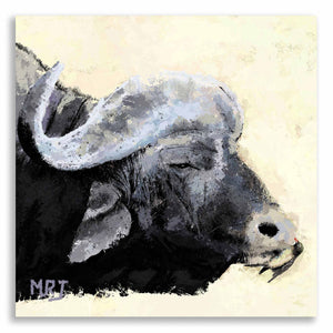 Cape Buffalo