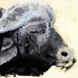 Cape Buffalo