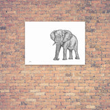 Original Artwork - J Patterson - Elephant