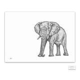 Original Artwork - J Patterson - Elephant