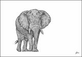 African Bull Elephant Limited Edition Print