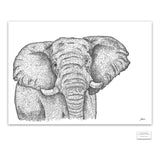 Original Artwork - J Patterson - African Elephant