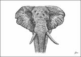 African Elephant "Majestic" Limited Edition Print