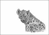 Hyena Limited Edition Print