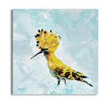 Hoopoe