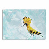 Hoopoe
