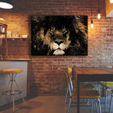 Lion "The Stare"