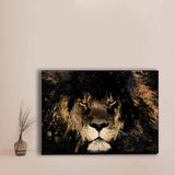Lion "The Stare"