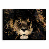 Lion "The Stare"