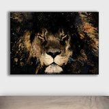Lion "The Stare"