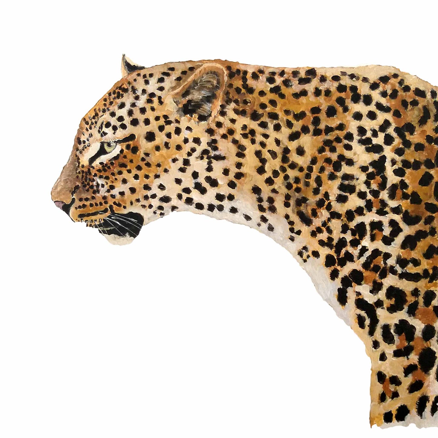 Original Artwork - J Patterson - Leopard