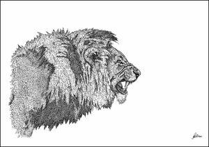 African Lion Limited Edition Print