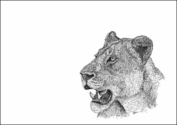 Lioness Limited Edition Print