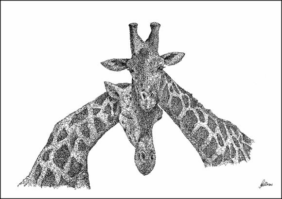 Giraffes Necking Limited Edition Print