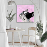 Pet Portrait