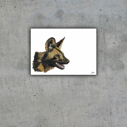 Limited Edition Print Wildlife in colour - African Wild Dog Panting