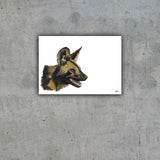 Limited Edition Print Wildlife in colour - African Wild Dog Panting