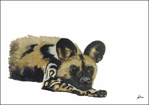 Limited Edition Print Wildlife in colour - African Wild Dog - Waiting game