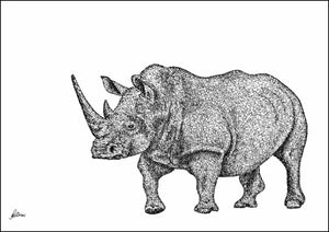 White Rhino Limited Edition Print