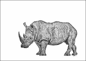 White Rhino Limited Edition Print