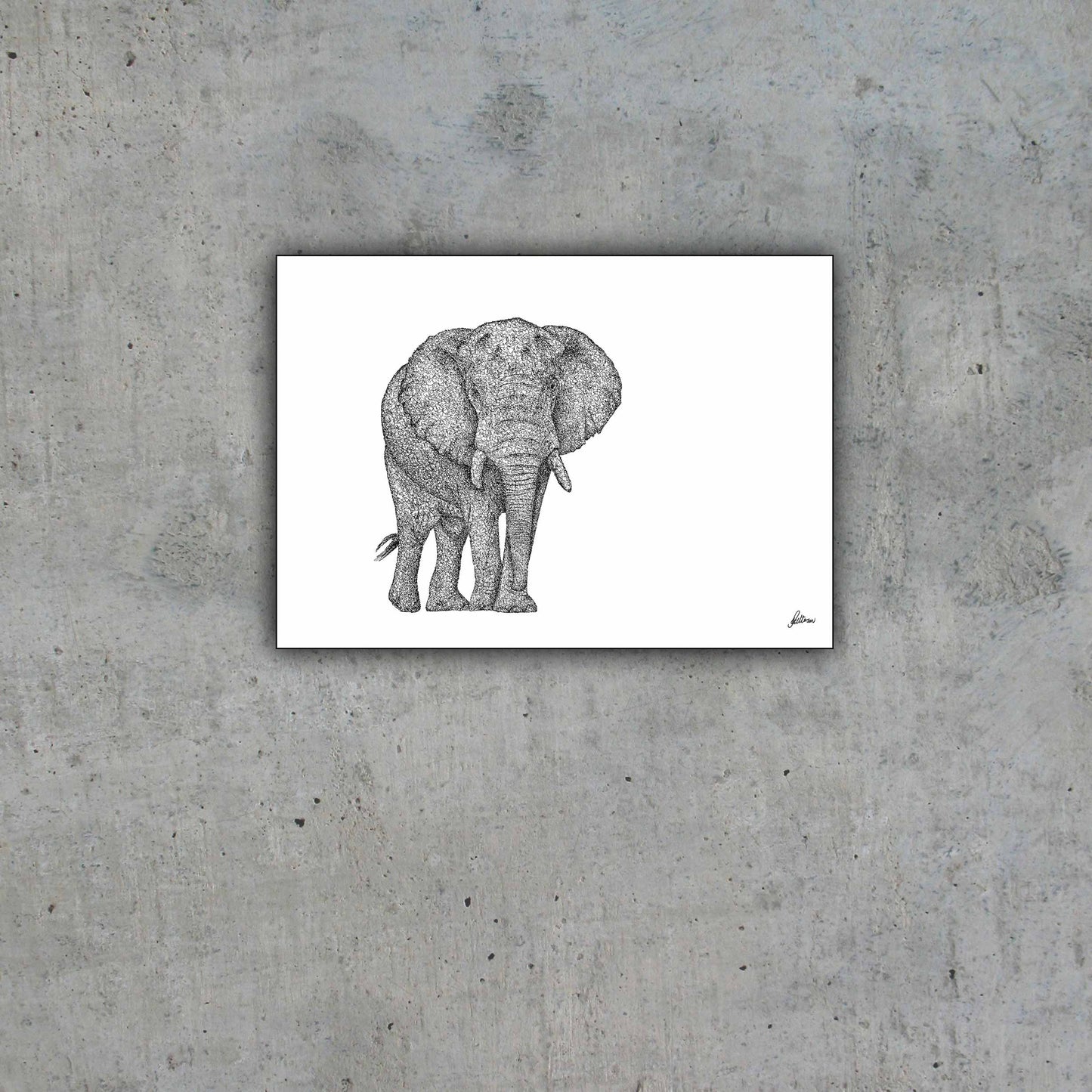 African Bull Elephant Limited Edition Print