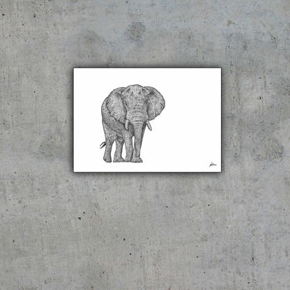 African Bull Elephant Limited Edition Print
