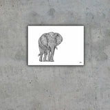 African Bull Elephant Limited Edition Print