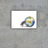 Limited Edition Print Wildlife in colour - Dung Beetle Pushing Earth