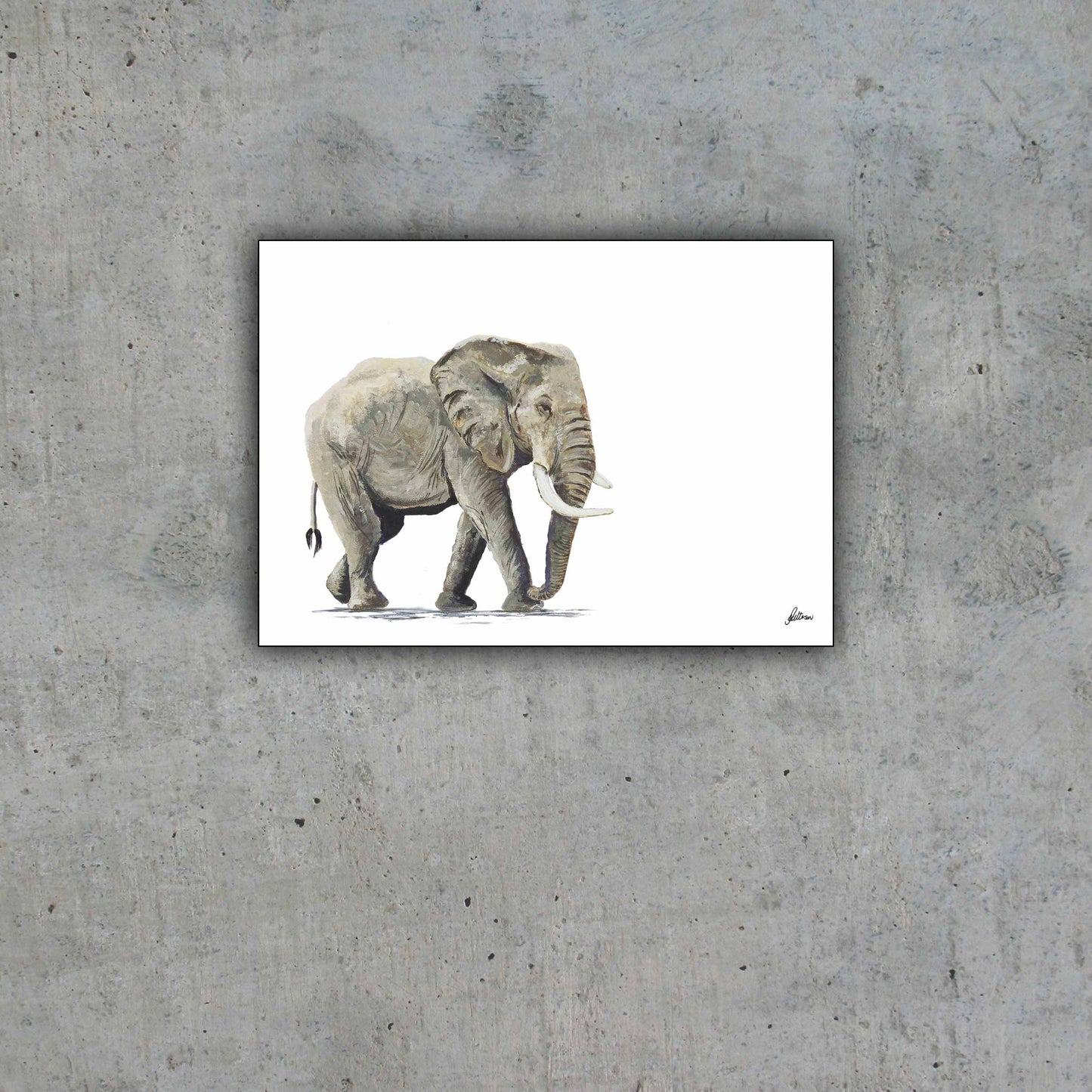 Limited Edition Print Wildlife in colour - Elephant