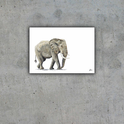 Limited Edition Print Wildlife in colour - Elephant
