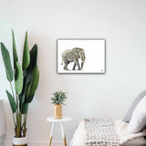 Limited Edition Print Wildlife in colour - Elephant