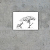 African Elephant and a Acacia Tree Limited Edition Print