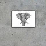 African Elephant "Majestic" Limited Edition Print