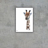 Limited Edition Print Wildlife in colour - Giraffe