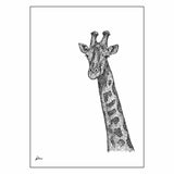 Giraffe Limited Edition Print